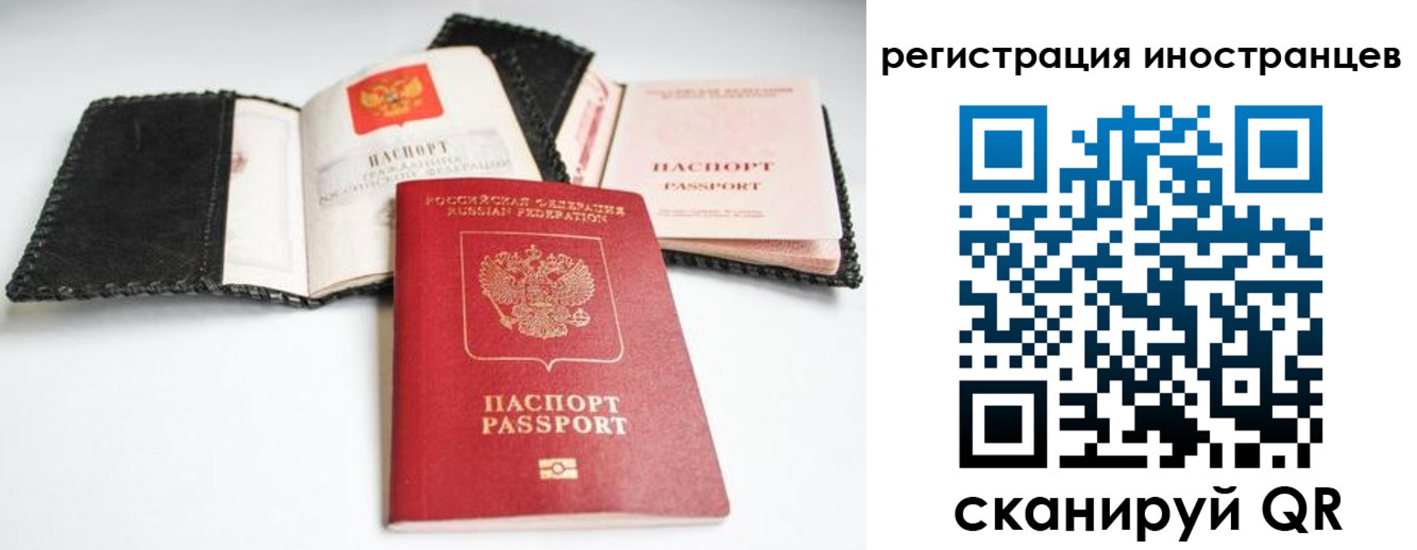 прописка гарантия в Апатитах